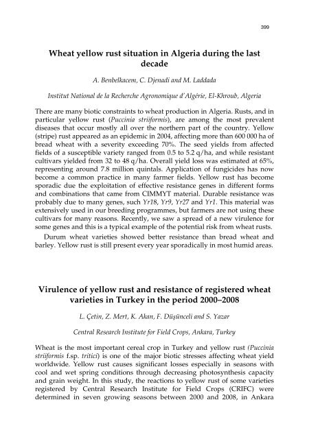 Meeting the Challenge of Yellow Rust in Cereal Crops - ICARDA