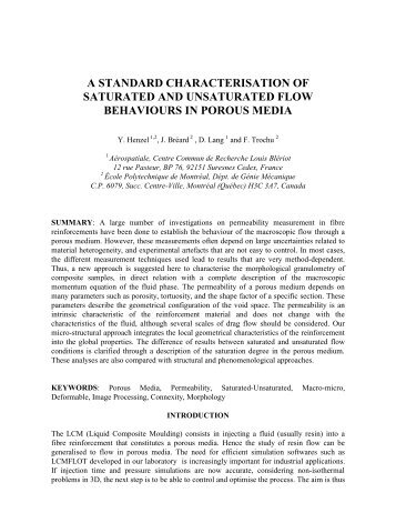 a standard characterisation of saturated and unsaturated ... - ICCM