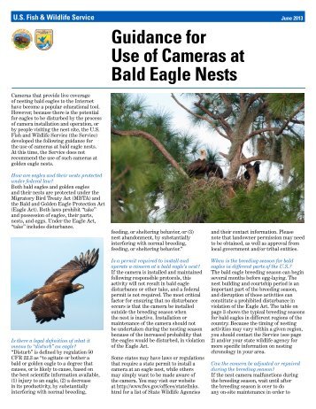 Guidance for Use of Cameras at Bald Eagle Nests - U.S. Fish and ...