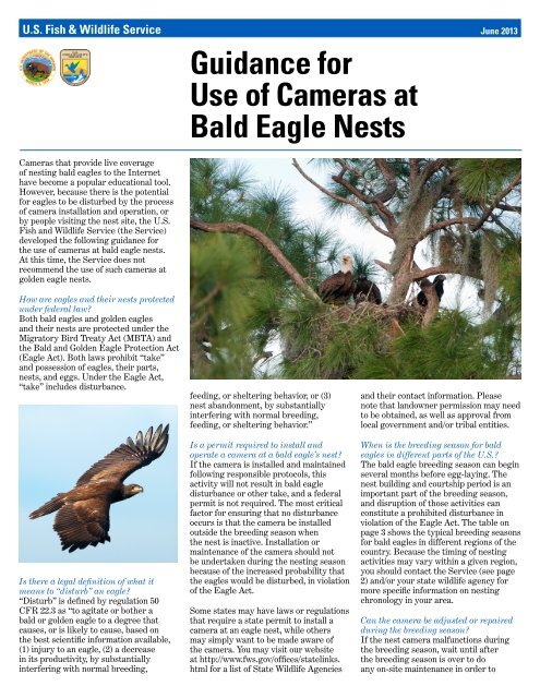 Guidance For Use Of Cameras At Bald Eagle Nests Us Fish