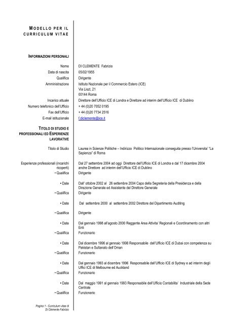 Modello Per Il Curriculum Vitae Ice