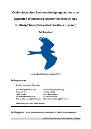 Ornithologisches SachverstÃ¤ndigengutachten zum ... - Homberg (Efze)