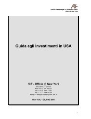 Guida agli Investimenti in USA - Ice