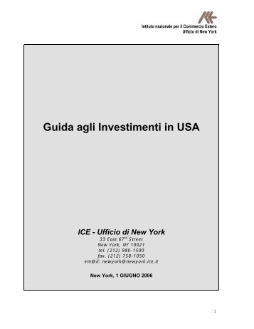 Guida agli Investimenti in USA - Ice