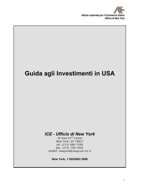 Guida agli Investimenti in USA - Ice