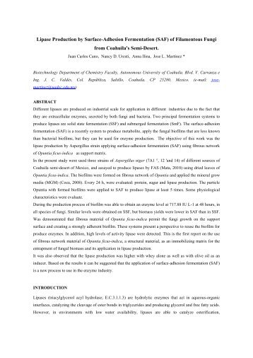 Aspergillus niger biofilms for lipases production, applying fibrous ...