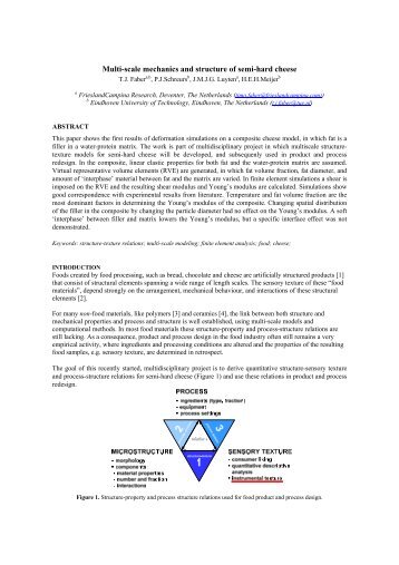 Multi-scale mechanics and structure of semi-hard cheese - 11th ...