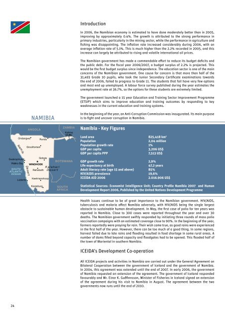 ICEIDA Annual Report 2006