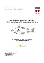 Manual to determine gonadal maturity of North Sea haddock ... - ICES