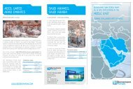 download - Bornemann Pumps