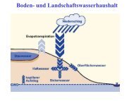 Boden- und Landschaftswasserhaushalt - BayCEER