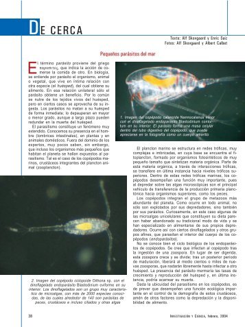 DE CERCA - Instituto de Ciencias del Mar