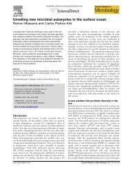 Unveiling new microbial eukaryotes in the surface ocean