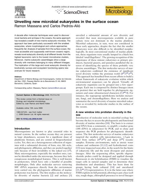 Unveiling new microbial eukaryotes in the surface ocean