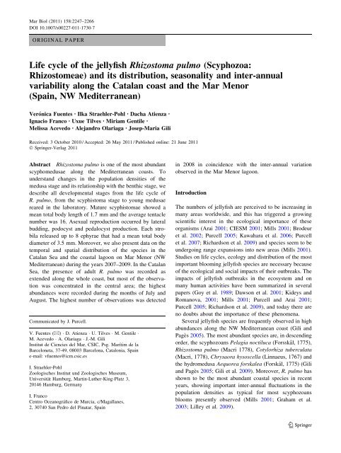 Life cycle of the jellyfish Rhizostoma pulmo (Scyphozoa ...