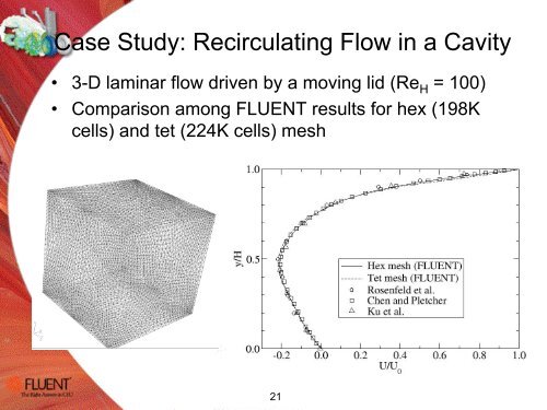 Meshing and CFD Accuracy - ICM