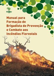 Manual para Formação de Brigadista de Prevenção e ... - ICMBio