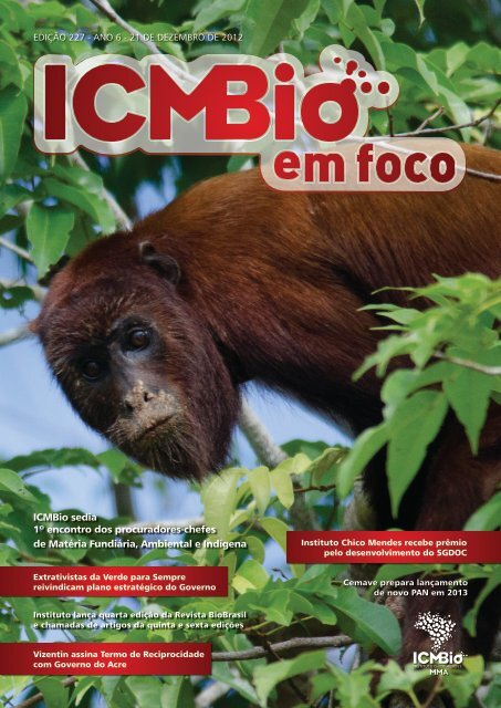 Morre macaco-prego que motivou iniciativas pró-fauna do Governo do