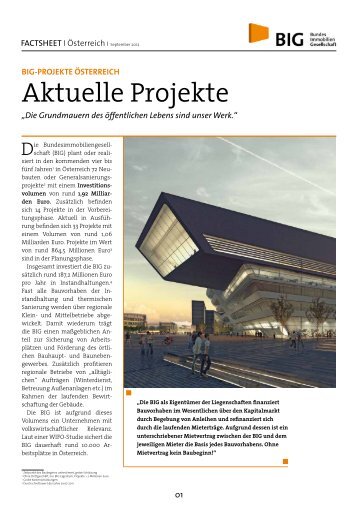 BIG-PROJEKTE IN BAU