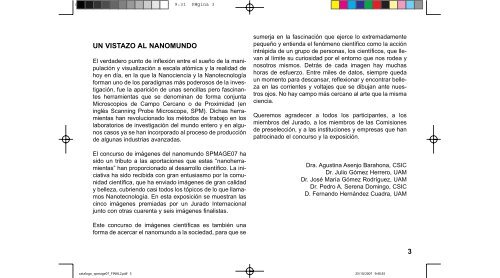 un vistazo al nanomundo - Consejo Superior de Investigaciones ...