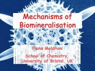 Mechanisms of Biomineralisation