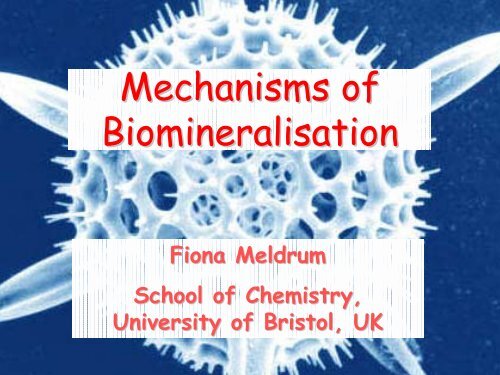 Mechanisms of Biomineralisation