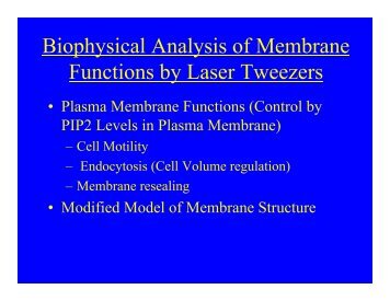 Biophysical Analysis of Membrane Functions by Laser Tweezers