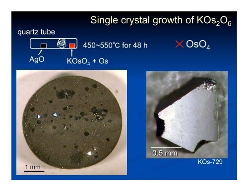 Correlated Oxides II