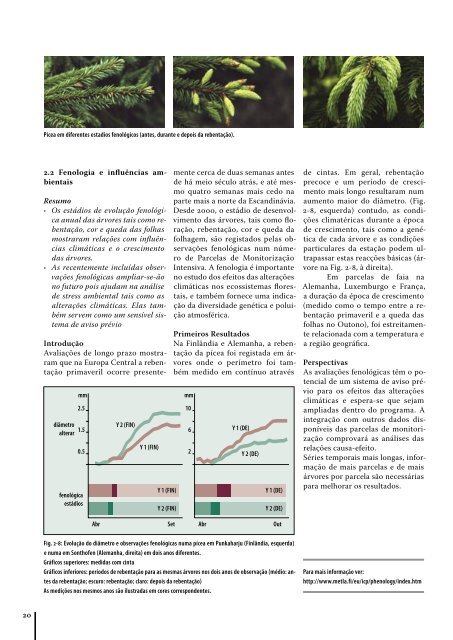 O Estado das Florestas na Europa - ICP Forests