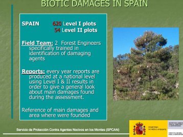 BIOTIC DAMAGES IN SPAIN - ICP Forests