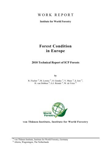 Report - ICP Forests