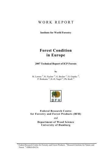 Report - ICP Forests