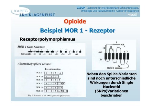 Opioide allgemein - 2013 - PAINCOURSE