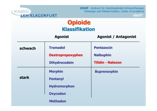Opioide allgemein - 2013 - PAINCOURSE