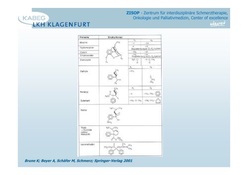 Opioide allgemein - 2013 - PAINCOURSE