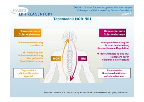 Opioide allgemein - 2013 - PAINCOURSE