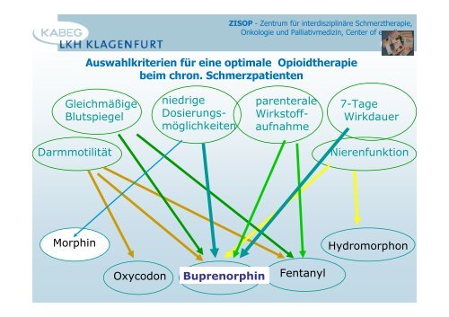 Opioide allgemein - 2013 - PAINCOURSE