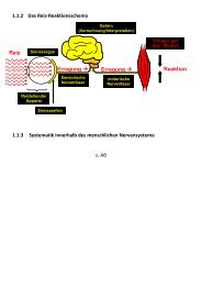 pdf-Datei