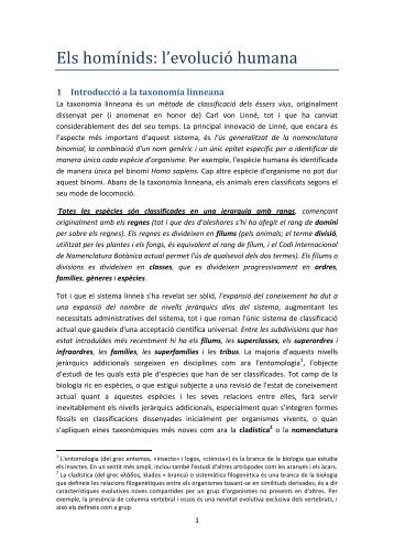 Els homÃ­ nids: l'evolucio humana - XTEC Blocs