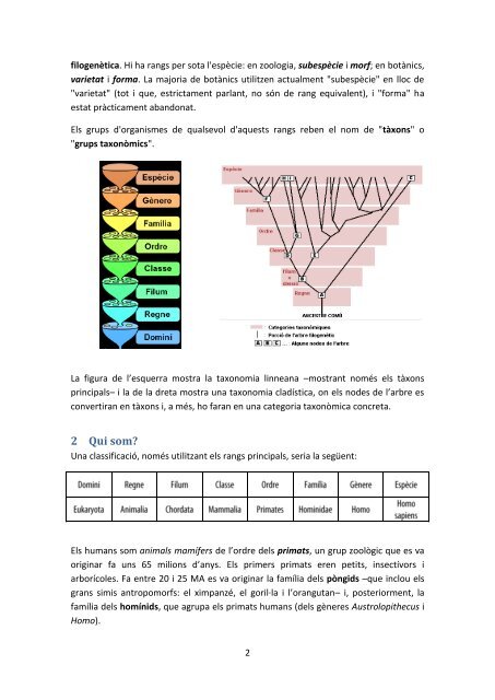 Els homÃ­ nids: l'evolucio humana - XTEC Blocs