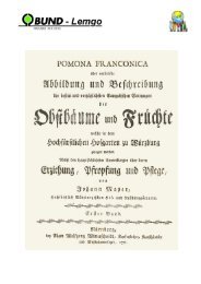 Mayer Johann - Pomona Franconica - NÃ¼rnberg 1776 - BUND Lemgo