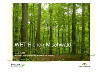 Behandlungstypen / Waldbauliche MaÃŸnahmen - ForstBW