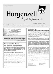 Ausgabe vom 08. MÃ¤rz 2013 - Horgenzell