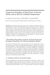 Numerical Modeling of Fluid Flow in Porous Media and in Driven ...