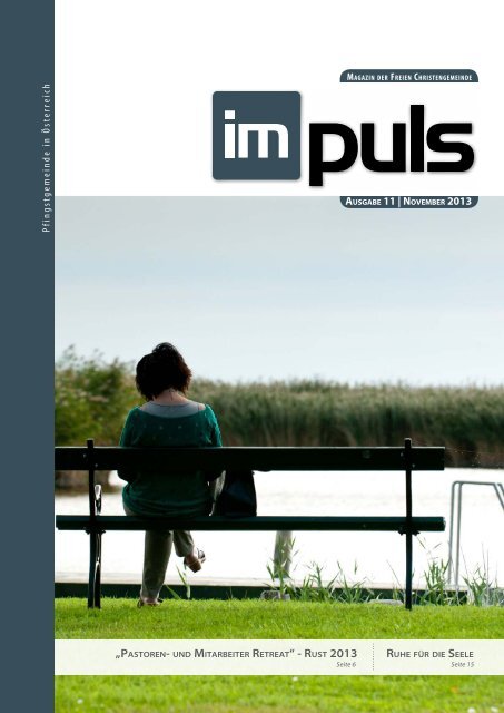 impuls 11 2013 - Crossnet