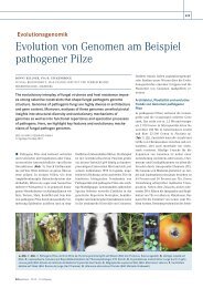 Evolution von Genomen am Beispiel pathogener Pilze - BIOspektrum