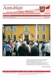 Amtlicher Teil - Amtsblatt vom 07. Juni 2013 - Amt Oder-Welse