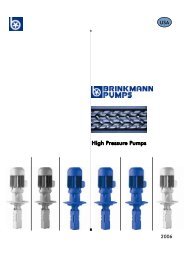 High Pressure Pumps - BRINKMANN PUMPS