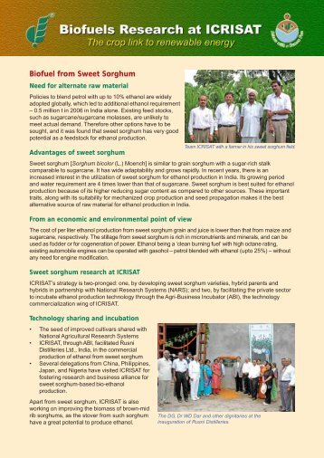 Biofuel from Sweet Sorghum - Icrisat