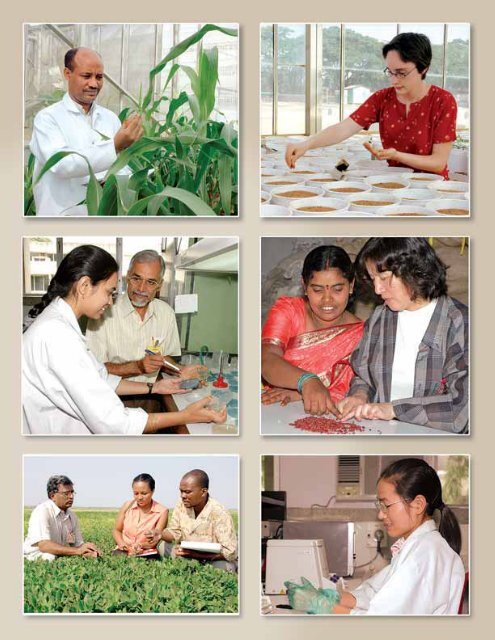 Annual Report 2005.pdf - icrisat